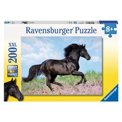 Spiel 6023.0