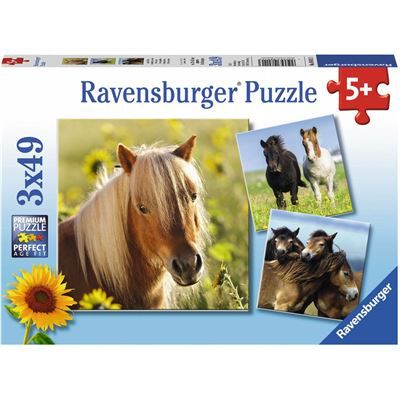 Spiel 6050.0